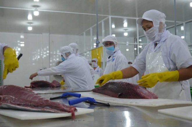 Sunsirse Seafood Co., Ltd - Hai San Binh Minh