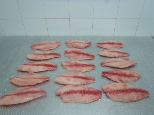 CO Tilapia fillet S/L B/L