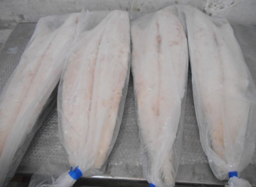 Cá đen fillet S/L hoặc S/O