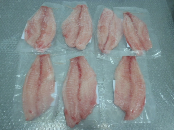 CO Tilapia fillet S/O